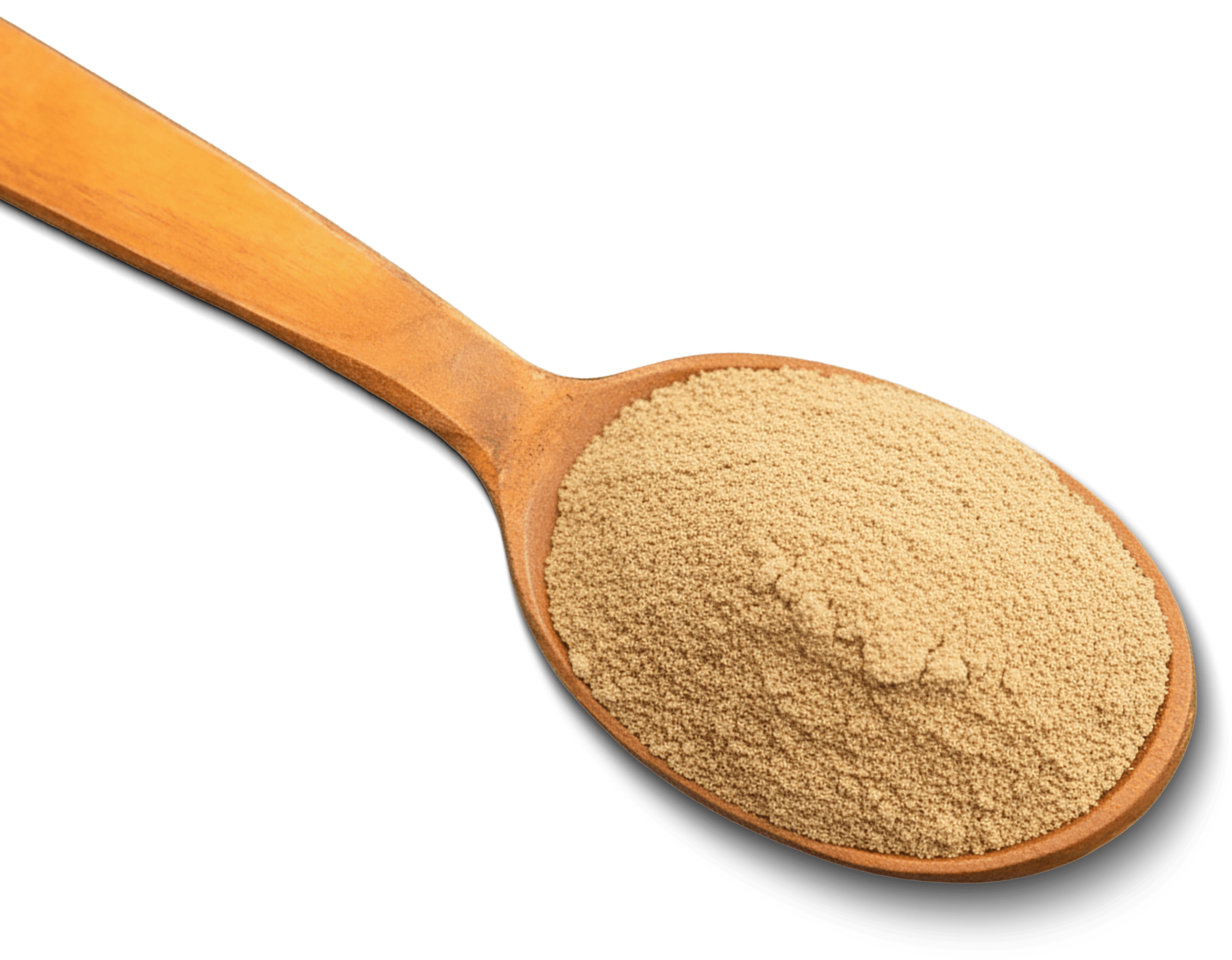 KSM‑66® Ashwagandha